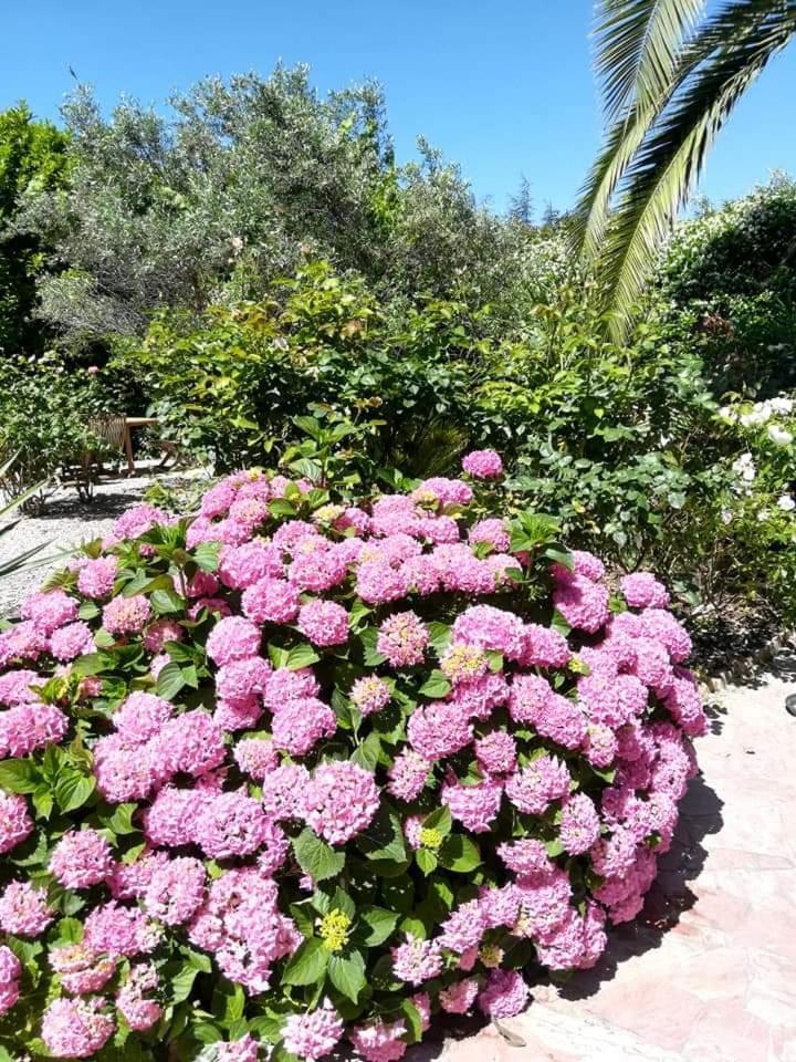 Villa Angel - Spa Caunes-Minervois Екстер'єр фото