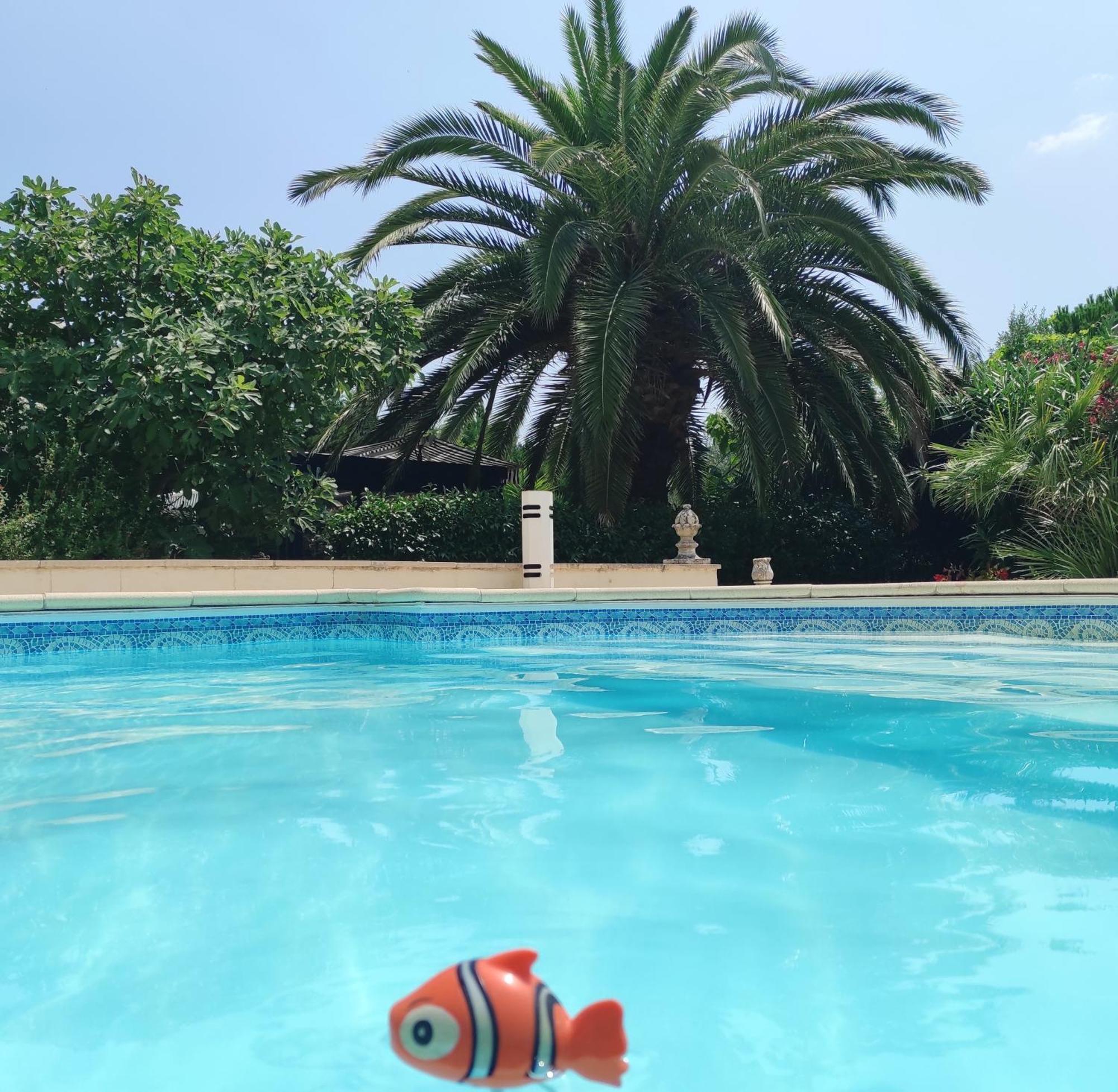 Villa Angel - Spa Caunes-Minervois Екстер'єр фото