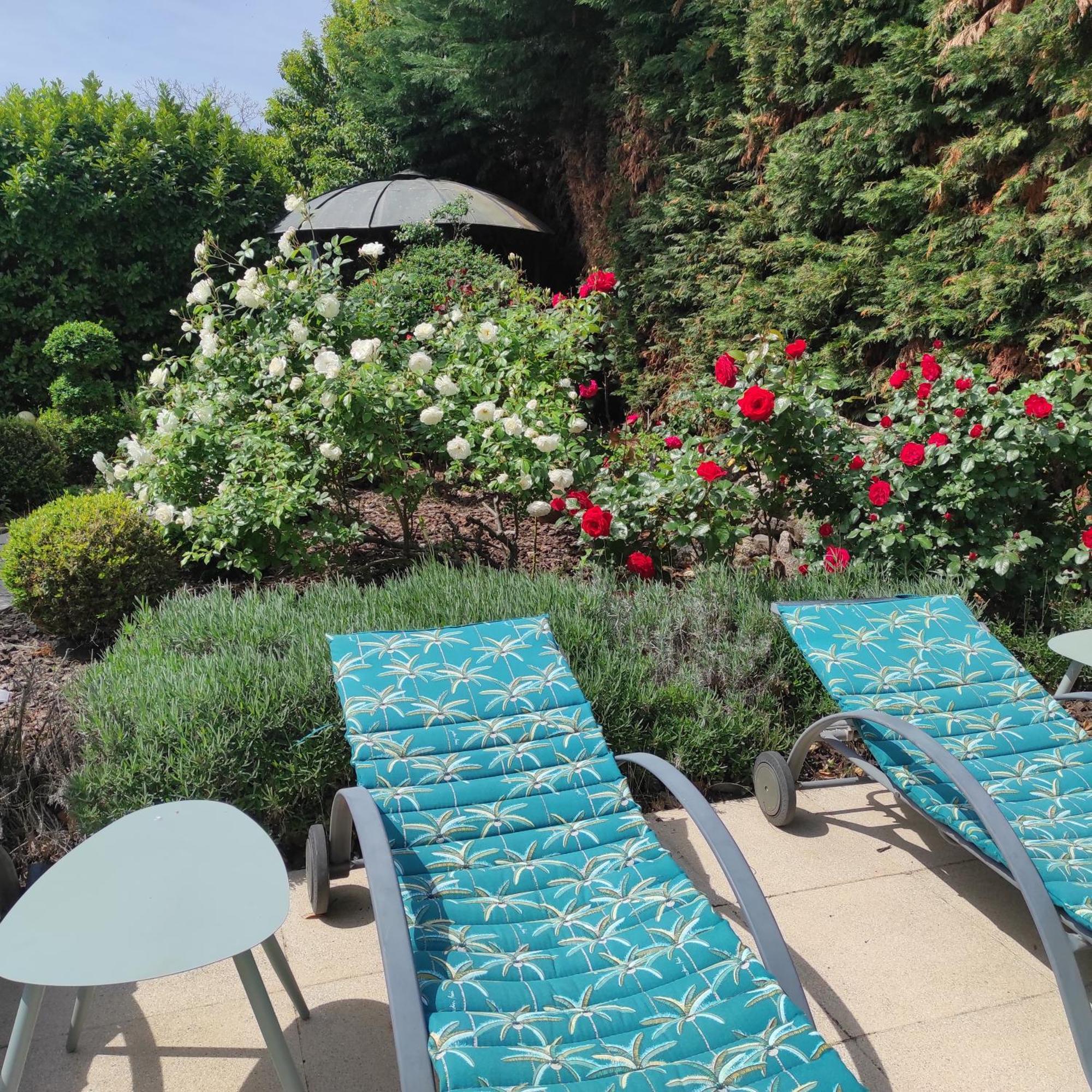 Villa Angel - Spa Caunes-Minervois Екстер'єр фото