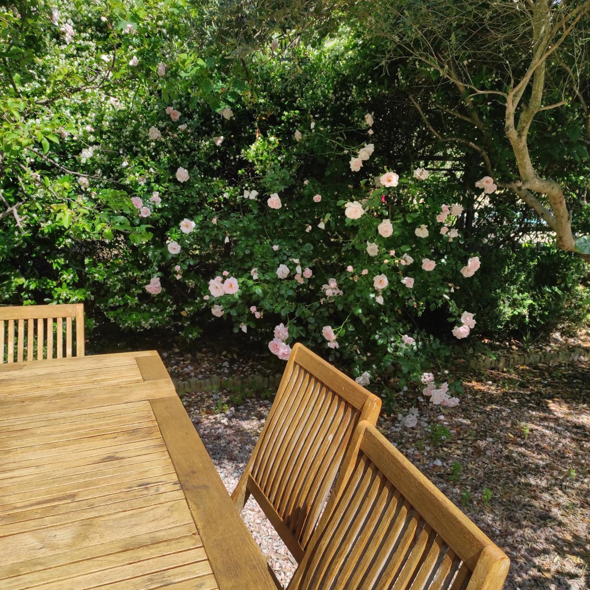 Villa Angel - Spa Caunes-Minervois Екстер'єр фото