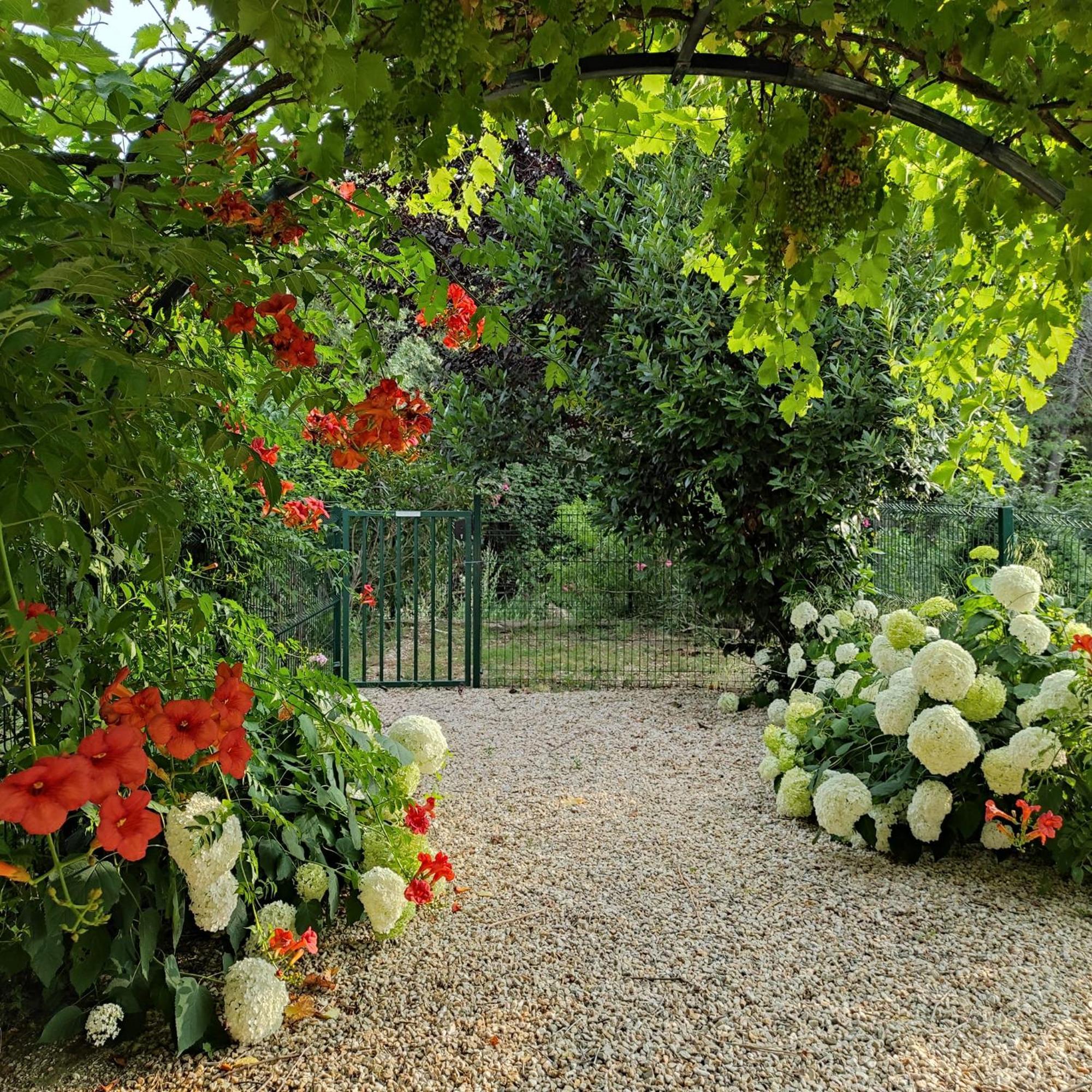 Villa Angel - Spa Caunes-Minervois Екстер'єр фото