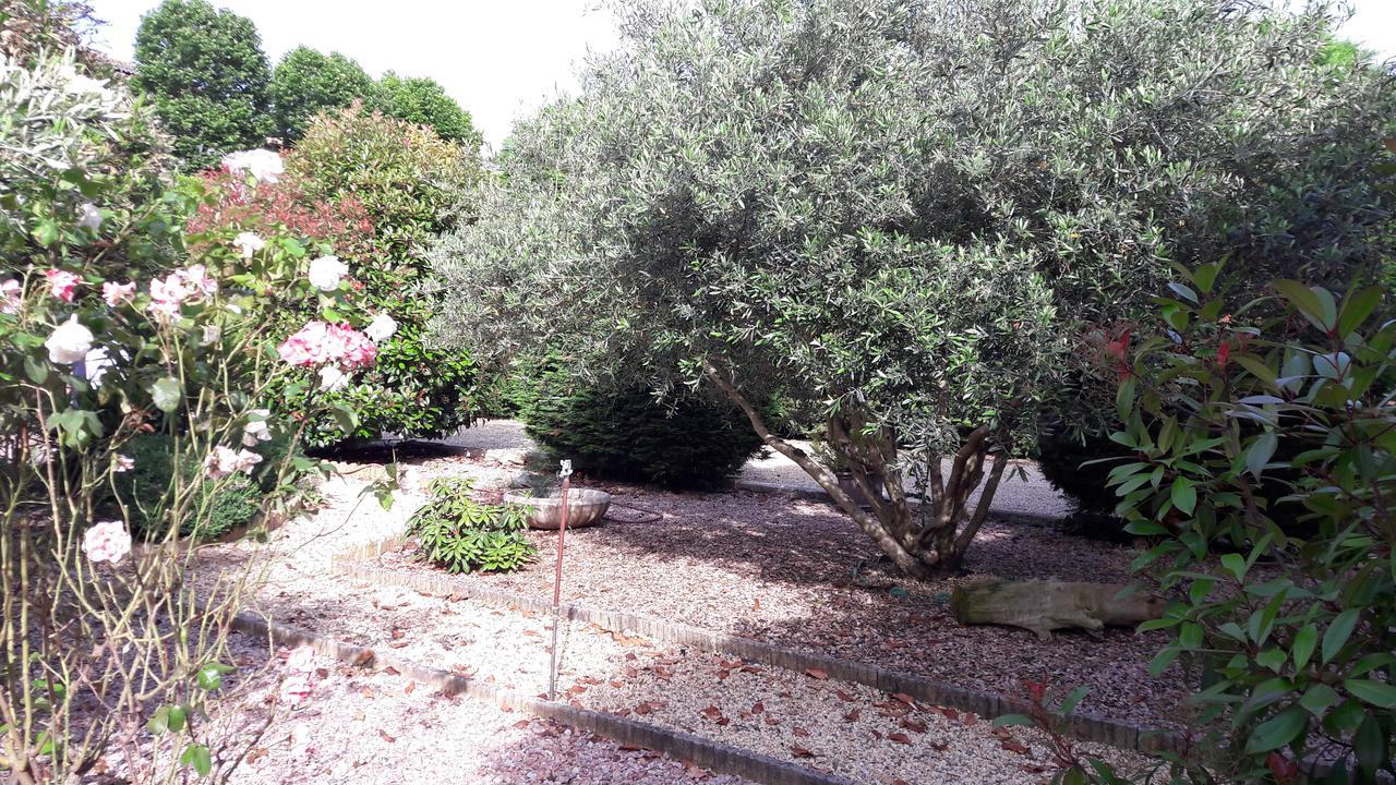 Villa Angel - Spa Caunes-Minervois Екстер'єр фото
